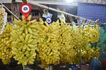 ประเพณีสารทไทยกล้วยไข่ ของดีเมืองกำแพง